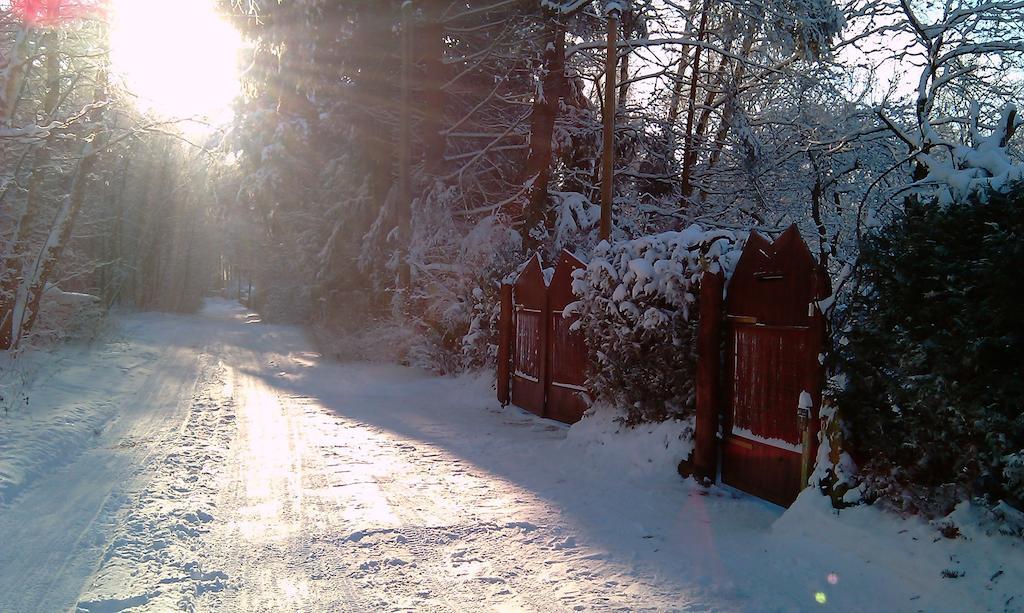 Norwegisches Holzhaus Villa Neuruppin Bagian luar foto